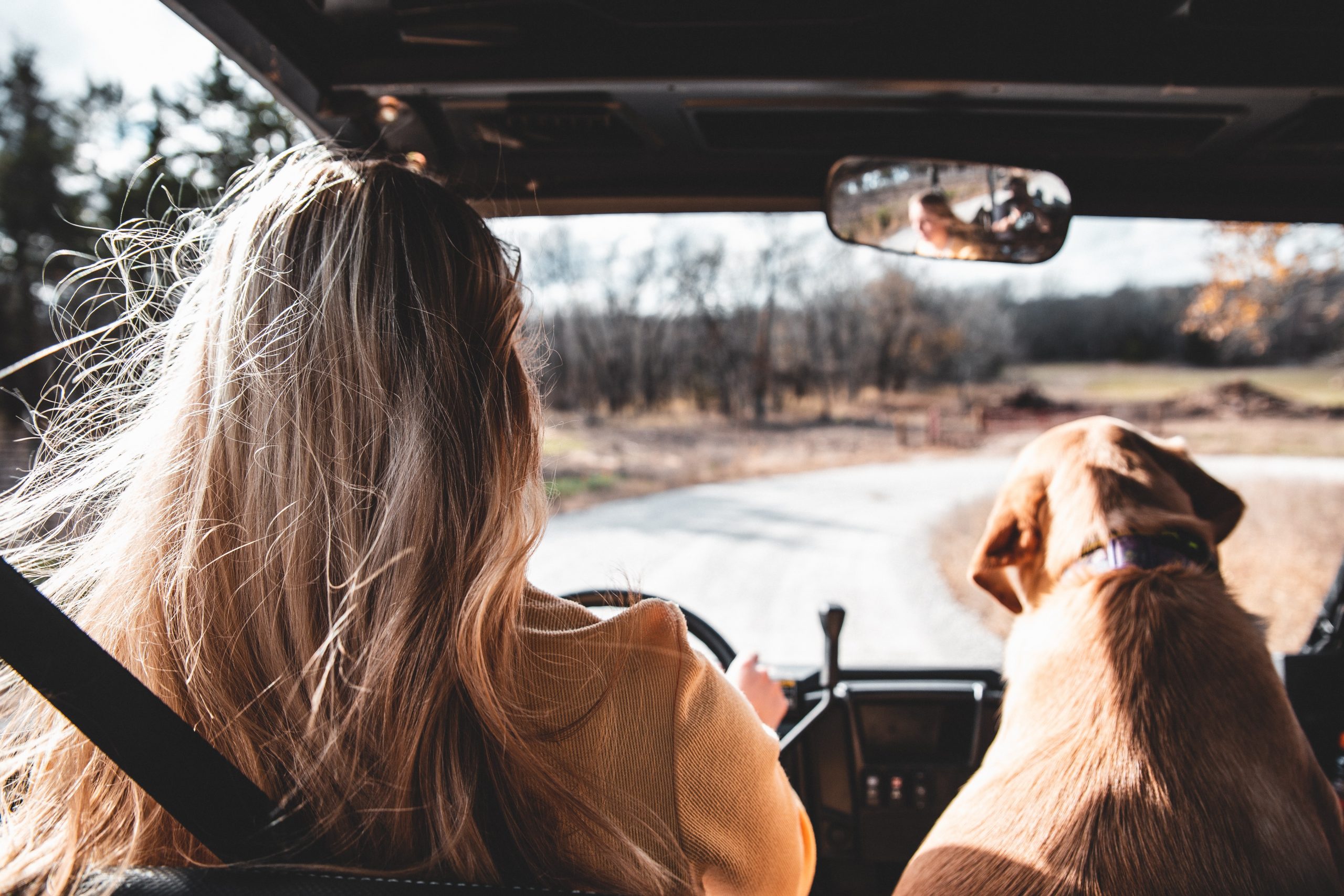 woman driving with her dog in the passenger seat