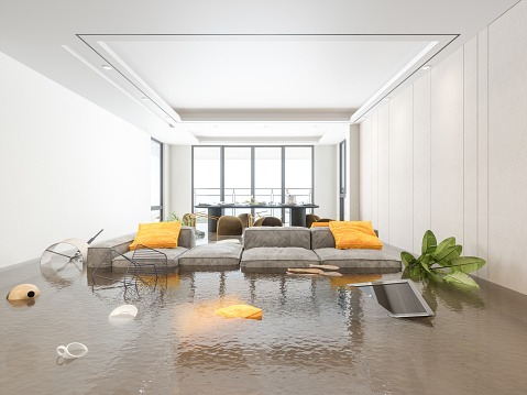 flooded living and dining room