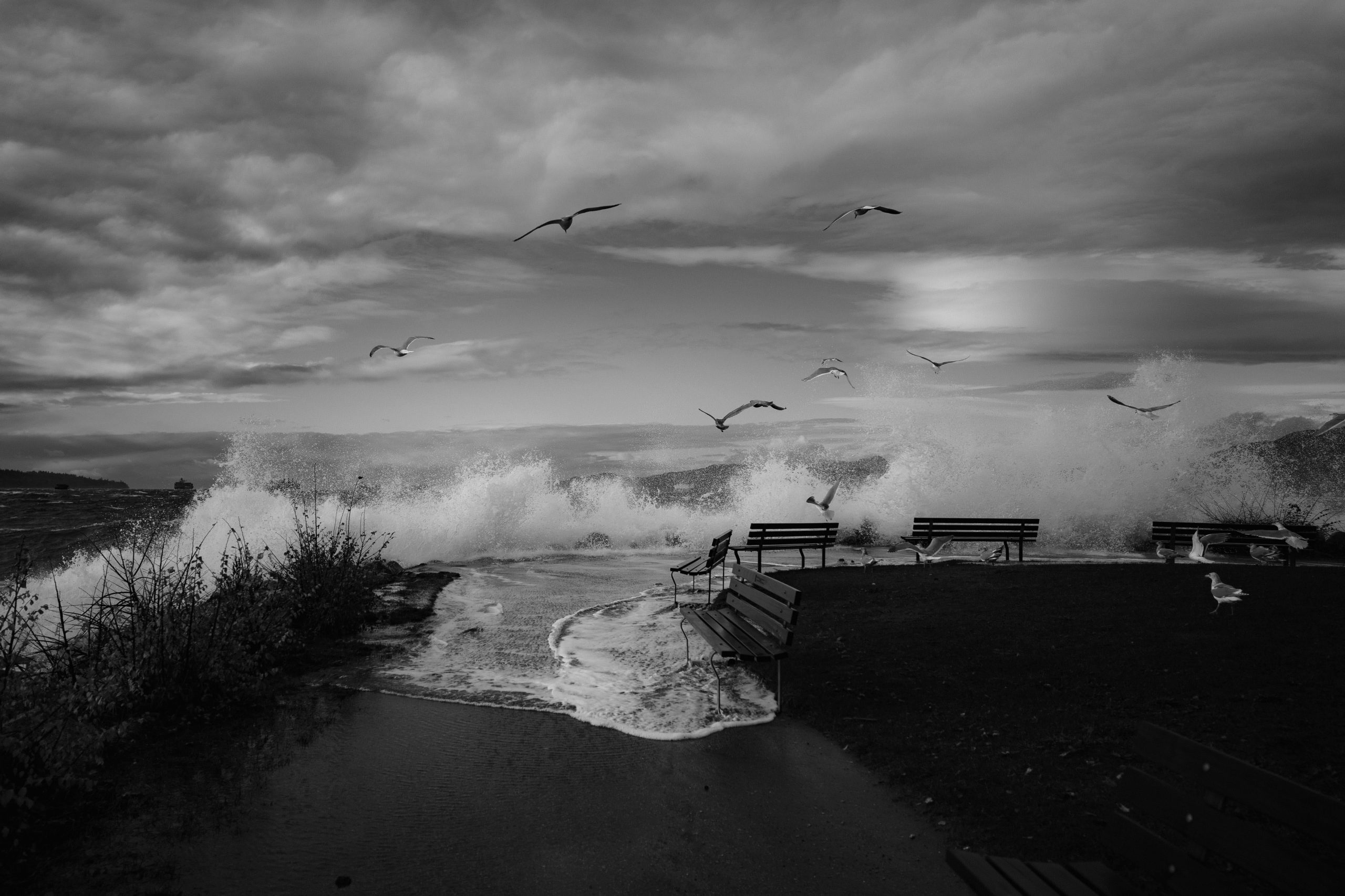 black and white picture of a wave crashing into a park