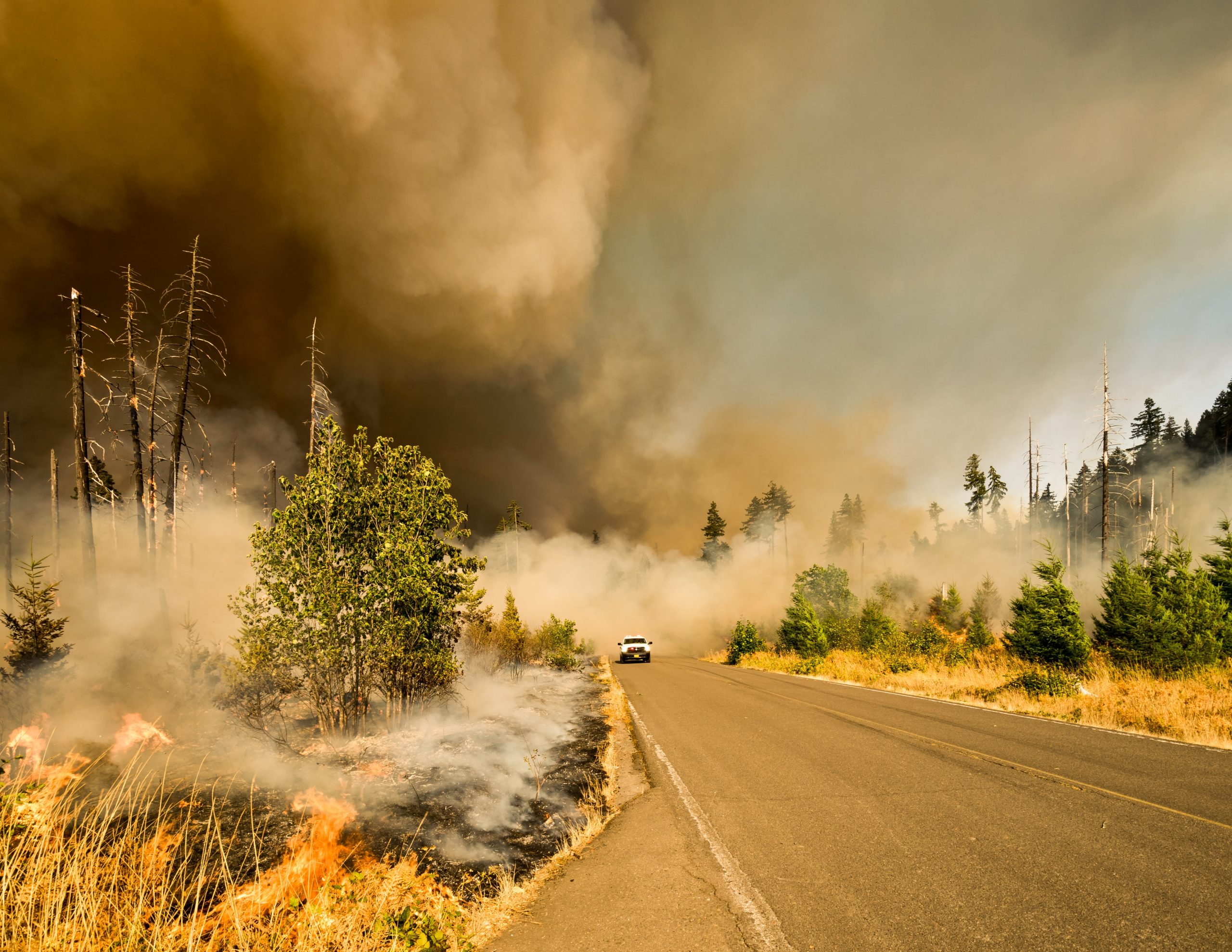 wildfire causing smoke in the woods