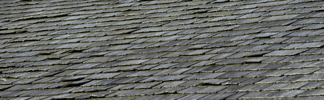 Roof Shingles